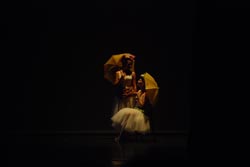 ballet performance 2009